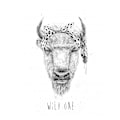 Miniatyrbilde 1 av 2: Wild One MultiColor 70x100 cm