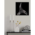 Miniatyrbild 1 av 2: Scissors MultiColor 50x70 cm