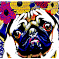 Miniatyrbilde 1 av 2: Puggles MultiColor 21x30 cm