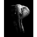 Miniatyrbilde 2 av 2: Elefant! MultiColor 70x100 cm