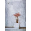 Miniatyrbild 2 av 2: When Summer's Gone... MultiColor 50x70 cm