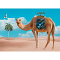 Pikkukuva 1 / 2: Camel MultiColor 30x40 cm