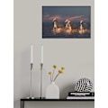 Miniatyrbild 1 av 2: Angels Of Camargue MultiColor 30x40 cm