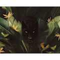 Miniatyrbillede 2 af 2: Hello Panther MultiColor 21x30 cm