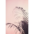 Miniatyrbillede 2 af 2: Palm Leaves_1 MultiColor 21x30 cm