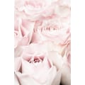 Pikkukuva 2 / 2: Pink Roses 05 MultiColor 70x100 cm