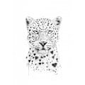 Miniatyrbild 1 av 2: Lovely Leopard MultiColor 21x30 cm