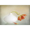 Miniatyrbillede 1 af 2: 2 lips MultiColor 50x70 cm