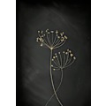 Pikkukuva 1 / 2: Black Gold Botanical No 2 MultiColor 70x100 cm