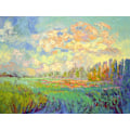 Miniatyrbillede 1 af 2: Df1511mydreamrisingbeautifulnewday MultiColor 70x100 cm