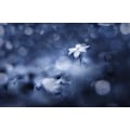 Miniatyrbild 1 av 2: Sparkling Background MultiColor 70x100 cm