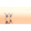 Miniatyrbild 2 av 2: Crane Dance MultiColor 70x100 cm