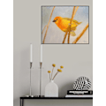 Miniatyrbillede 2 af 2: Saffron Finch MultiColor 50x70 cm