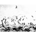 Miniatyrbild 2 av 2: Swans Waves MultiColor 70x100 cm