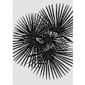 Pikkukuva 1 / 2: Fan Palm Black A White MultiColor 21x30 cm
