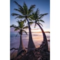 Miniatyrbillede 1 af 2: Palmy Twilight MultiColor 30x40 cm