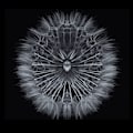 Miniatyrbild 1 av 2: Salsify MultiColor 70x100 cm