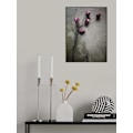 Pikkukuva 2 / 2: Elegantti tulppaani MultiColor 70x100 cm