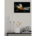 Miniatyrbild 2 av 2: A Lotus, Softly MultiColor 21x30 cm