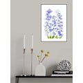 Miniatyrbild 2 av 2: Delphinium MultiColor 21x30 cm