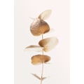 Miniatyrbild 1 av 2: Eucalyptus Gold No 06 MultiColor 21x30 cm