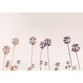 Pikkukuva 2 / 2: Sunny Cali Palm Trees MultiColor 30x40 cm