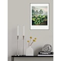Miniatyrbild 1 av 2: A Group Of Auriculas From The Temple Of Flora 2 (1807) MultiColor 21x30 cm