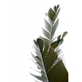 Miniatyrbillede 1 af 2: Travellers Palm Leaves Foto 05 MultiColor 30x40 cm