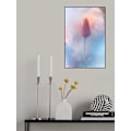 Pikkukuva 1 / 2: Douceur Aamp Volupte MultiColor 50x70 cm