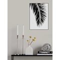 Miniatyrbild 2 av 2: Palm Leaf Black A White I MultiColor 21x30 cm
