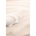 Miniatyrbilde 2 av 2: Shell_3 MultiColor 50x70 cm