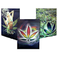 Pikkukuva 2 / 2: Tavla 3D -Vacker tjej, Ganja, Löv