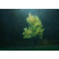 Miniatyrbild 1 av 2: Yellowing MultiColor 21x30 cm