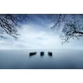 Miniatyrbild 2 av 2: Time Is A Wave MultiColor 70x100 cm
