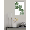 Pikkukuva 2 / 2: Monstera Aqua 02 MultiColor 70x100 cm