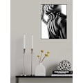 Pikkukuva 1 / 2: Zebra MultiColor 50x70 cm