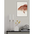 Miniatyrbillede 1 af 2: Red Snapper MultiColor 70x100 cm