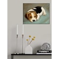Pikkukuva 2 / 2: Söpö Beagle MultiColor 70x100 cm