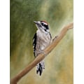 Miniatyrbild 1 av 2: That Familiar Song MultiColor 21x30 cm