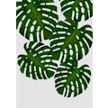 Pikkukuva 1 / 2: Monstera Leaf I MultiColor 50x70 cm