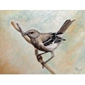 Miniatyrbild 1 av 2: Sharp Eyed Mockingbird MultiColor 21x30 cm