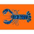 Miniatyrbillede 2 af 2: Lobster On Orange MultiColor 21x30 cm