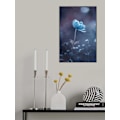 Pikkukuva 1 / 2: A Short Story Of Flower MultiColor 70x100 cm