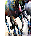 Miniatyrbillede 1 af 2: Gallop MultiColor 30x40 cm