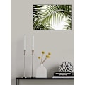 Miniatyrbild 2 av 2: Palm Leaves Foliage Photo 01 MultiColor 70x100 cm