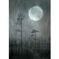 Pikkukuva 1 / 2: Under The Moon MultiColor 70x100 cm