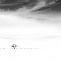 Miniatyrbild 1 av 2: Poems Of Silence MultiColor 50x70 cm