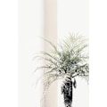Miniatyrbillede 1 af 2: Palme MultiColor 30x40 cm