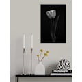 Miniatyrbillede 2 af 2: Tulipan MultiColor 70x100 cm