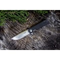 Miniatyrbilde 5 av 5: Ganzo - FH11 - Folding knife D2 ! Black kolfiber